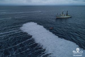 Γαλλία: 100.000 ψάρια νεκρά – Έρευνες από τις αρχές￼