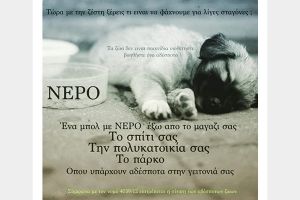 Οδηγίες για αδέσποτα-δεσποζόμενα ζώα στον καύσωνα από τους Αστυνομικούς της Γειτονιάς του Κιλκίς