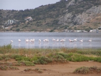 Περιφερειακό πάρκο χαμένο στη γραφειοκρατία