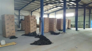 Εκατομμύρια λαθραία πακέτα τσιγάρων σε Ελλάδα και Βουλγαρία