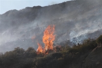 Στις φλόγες δασική έκταση στην Κερατέα Αττικής
