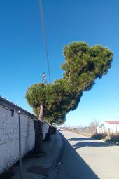 Δημοτικό Στάδιο Κιλκίς: Οφθαλμαπάτη! ή πραγματικότητα;