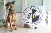 Αστυνομικοί του Τμήματος Ασφάλειας Κιλκίς συνέλαβαν με τη βοήθεια της Minnie 3 άτομα για αγοραπωλησία ναρκωτικών