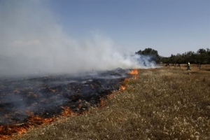 Στις φλόγες αγροτική έκταση στο Μαρμάρι Καρύστου Εύβοιας