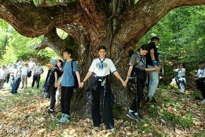 «Συνδεδεμένοι μέσω της φύσης»: Μια γιορτή εθελοντισμού και πεζοπορίας στο Δασόκτημα Κούπας για την Ευρωπαϊκή Ημέρα Πάρκων 2026