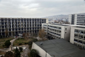 Επιδρομή ποντικιών στο ΑΠΘ