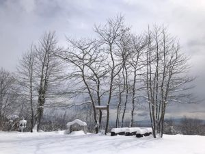 Έρχονται εκτεταμένες χιονοπτώσεις στην Ευρώπη