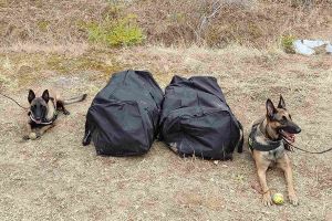 Άγρια καταδίωξη και σύλληψη 35χρονου στο Κιλκίς με 21 κιλά κάνναβη