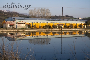 Παιχνίδια της φύσης και των χρωμάτων