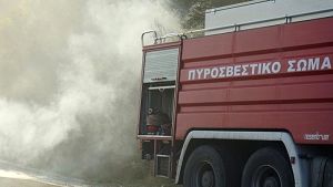 Συναγερμός στο Κιλκίς για την πυρκαγιά σε κτηνοτροφική μονάδα