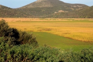 Κινδυνεύει η λίμνη του Δύστου