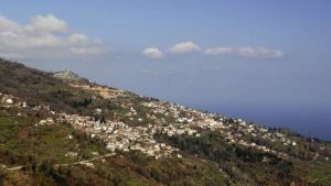 Στον δήμο Αρριανών ο πρώτος συνεταιρισμός παραγωγών στέβιας