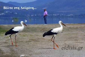 Βόλτα στη Δοϊράνη περιφρονώντας τον κορονοϊό!