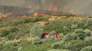 Χαλκιδική: Οριοθετήθηκαν οι πυρκαγιές σε Μόλα Καλυβα και Φούρκα