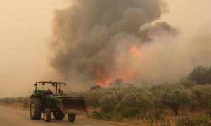 Φωτιά στο Καλαμωτό Θεσσαλονίκης – Επιχειρούν 35 πυροσβέστες