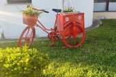 Ένα… ανθισμένο ποδήλατο του Νίκου Σιάνα και στην είσοδο του Συνεδριακού Κέντρου Κιλκίς