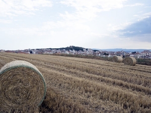 Άφαντοι 1500 αγρότες από το ΟΣΔΕ Ανησυχία για ακαλλιέργητα και αθέριστα χωράφια