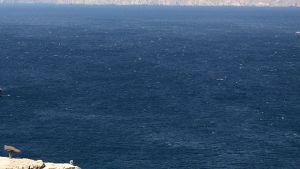 Συναγερμός στον Κόλπο: Αμερικανικές δυνάμεις σταματούν επτά πλοία από το Ορμούζ