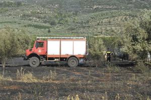 Φωτιά στο Σούνιο – Επιχειρούν 20 πυροσβέστες και 10 οχήματα