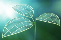 Παράταση ως 31 Δεκεμβρίου σε εξετάσεις των ενεργειακών επιθεωρητών