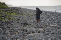 MH370: Μεγάλη πιθανότητα συντρίμμια στη Μοζαμβίκη να προέρχονται από Boeing