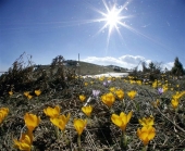 «Γλυκαίνει» ο καιρός - Ανεβαίνει λίγο η θερμοκρασία