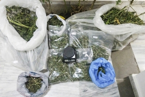 Συνελήφθη 39χρονος σε περιοχή του Κιλκίς για καλλιέργεια και κατοχή κάνναβης