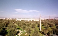 Πάρκο 46 στρεμμάτων στον Ελαιώνα σχεδιάζει ο δήμος Αθηναίων
