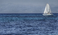 Μεγάλη ποσότητα ακατέργαστης ινδικής κάνναβης σε ιστιοφόρο