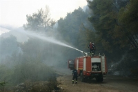 Σε ύφεση η πυρκαγιά στην Αλφειούσα Ηλείας