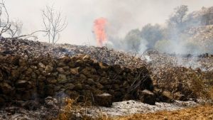 Ιταλία: 59 πύρινα μέτωπα στην Καλαβρία