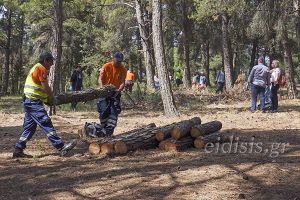 Εξόρμηση καθαρισμού στο δασύλλιο του Λόφου Αγίου Γεωργίου Κιλκίς