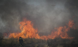 Υπό πλήρη έλεγχο η πυρκαγιά στο κρατικό δάσος Πάφου