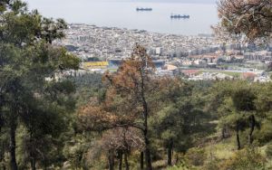 Θεσσαλονίκη: Σε ποιες περιοχές θα απαγορευτεί αύριο η κυκλοφορία λόγω υψηλού κινδύνου πυρκαγιάς