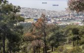 Θεσσαλονίκη: Σε ποιες περιοχές θα απαγορευτεί αύριο η κυκλοφορία λόγω υψηλού κινδύνου πυρκαγιάς