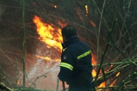 Φωτιά σε δασική έκταση στη Μεταξάδα Μεσσηνίας