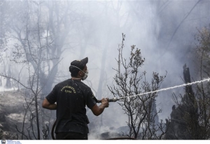Μεγάλες φωτιές σε Άνδρο και Σάμο