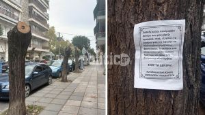 Θεσσαλονίκη: Κηδειόχαρτα πάνω σε κατακρεουργημένα δέντρα στην οδό Κρήτης (pics)