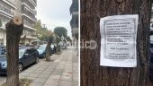 Θεσσαλονίκη: Κηδειόχαρτα πάνω σε κατακρεουργημένα δέντρα στην οδό Κρήτης (pics)