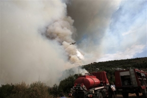 Ζάκυνθος: Συνεχίζεται η μάχη για τον έλεγχο της πυρκαγιάς στις Μαριές - Συνεχείς αναζωπυρώσεις