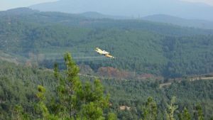Οι αεροψεκασμοί «σώζουν» το Σέιχ Σου από την πευκοκάμπια (pics)