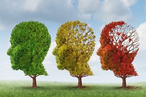 Ενδιαφέρουσα εκδήλωση στο Κιλκίς για την διάγνωση και αντιμετώπιση της άνοιας