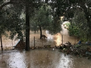 Προβλήματα στην Αιτωλοακαρνανία - Κλειστή η Εθνική Οδός [βίντεο]