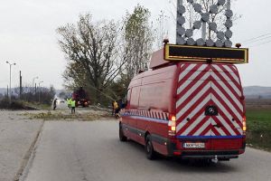 Εργασίες κοπής επικίνδυνων για τη δημόσια ασφάλεια δέντρων από την Π.Ε. Κιλκίς
