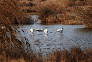 Πιερία: Τσιμέντο να γίνει χάριν ανάπτυξης