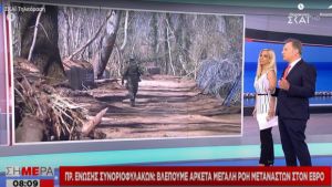Πρ. Ένωσης Συνοριοφυλάκων στον ΣΚΑΪ: Βλέπουμε αρκετά μεγάλη ροή μεταναστών στον Έβρο