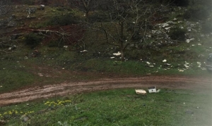 Περιβαλλοντικό έγκλημα στο Μαίναλο