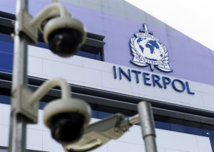 Επιχείρηση «μαμούθ» κατά του λαθρεμπορίου από 81 χώρες