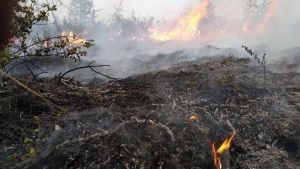 Ρωσία: Η κλιματική αλλαγή φταίει για τις πυρκαγιές στη Σιβηρία