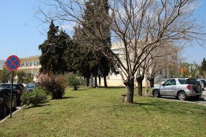 Αισθητική παρέμβαση πρασίνου στους κήπους του Γενικού Νοσοκομείου Κιλκίς